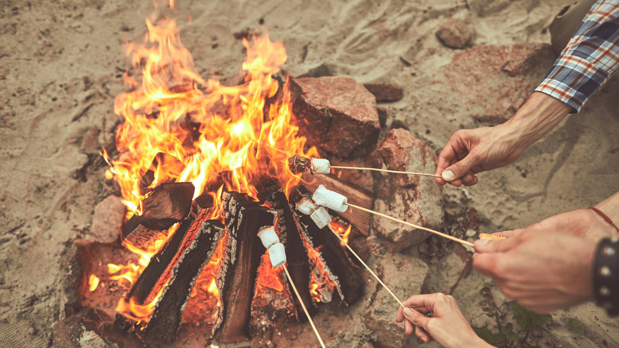 beach bonfire marshmallows smores skewers