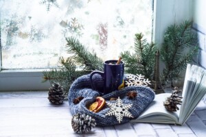 cozy books holiday winter