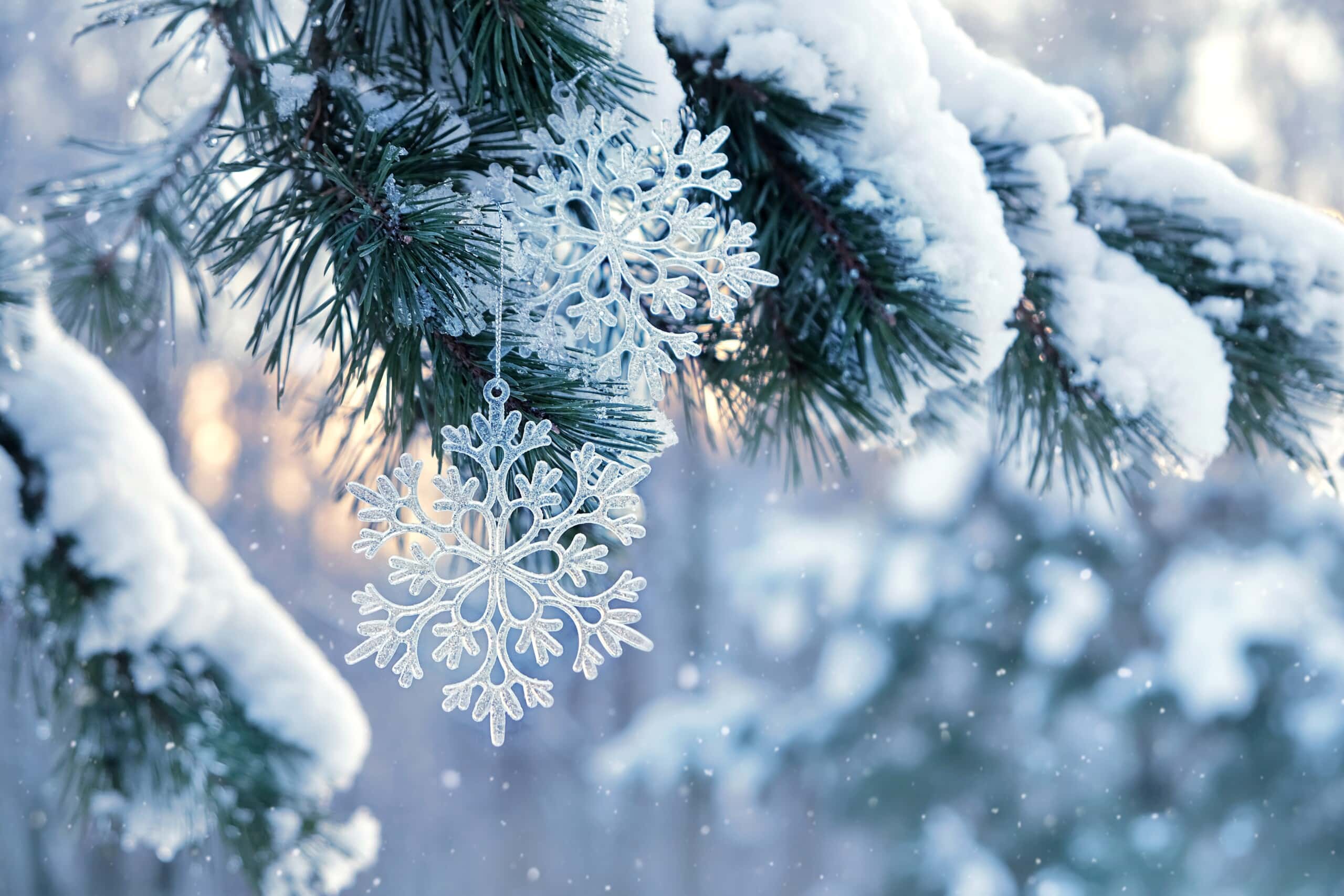 winter wonderland snowflake