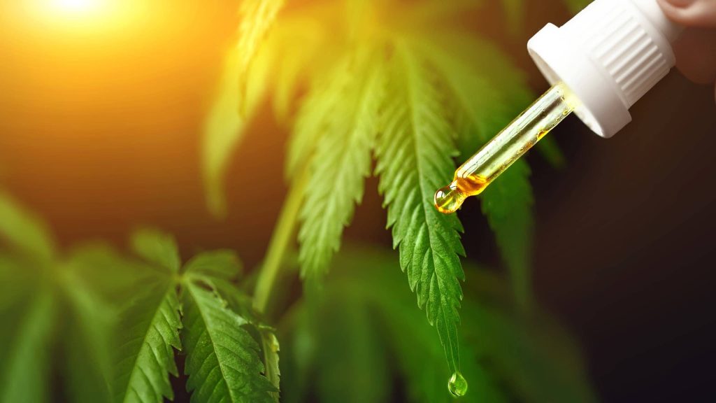 cbd oil for older adults