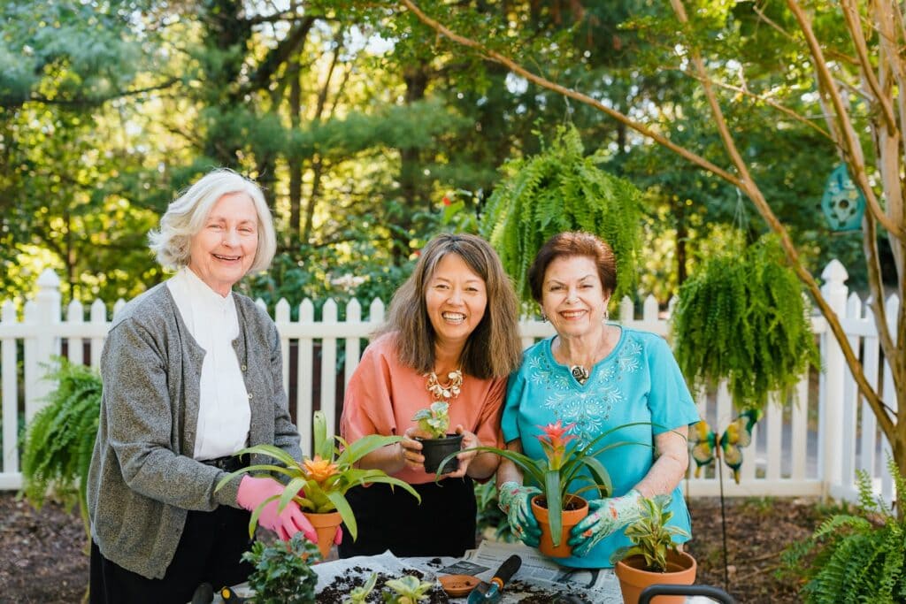 cognitive wellness programs reston