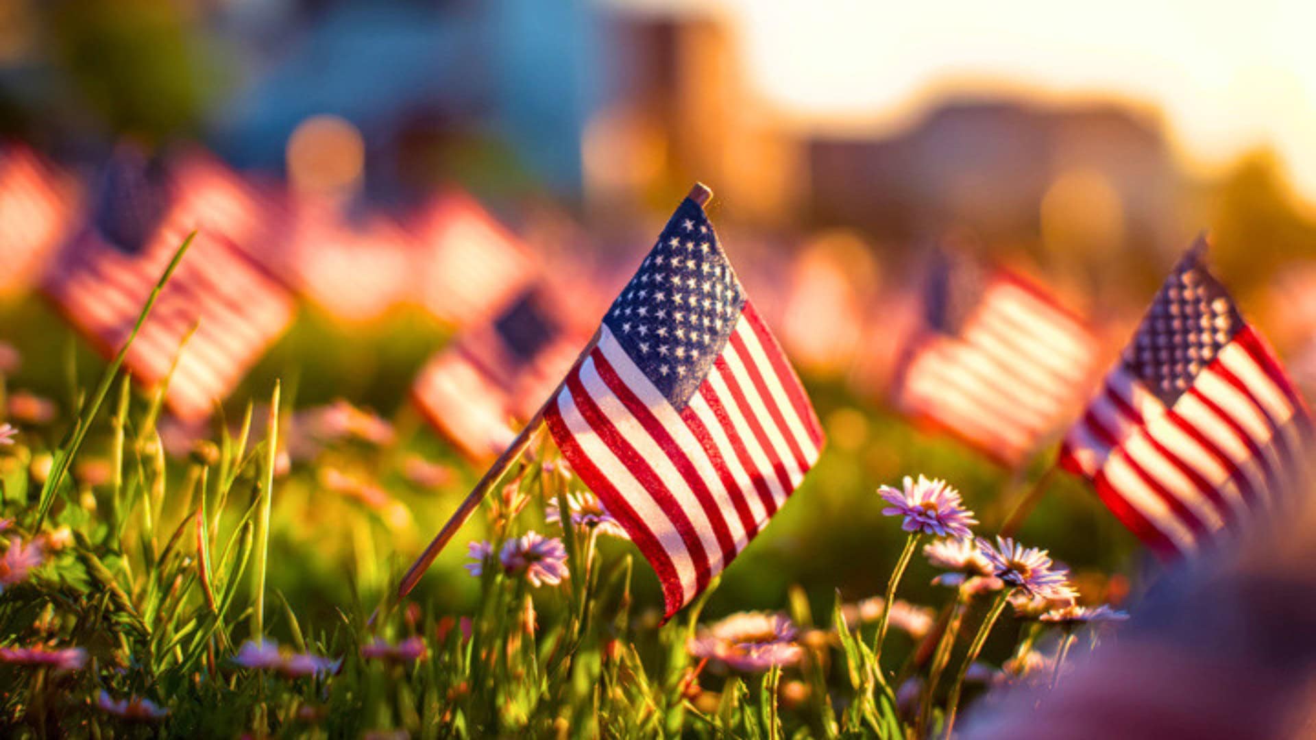 American flags